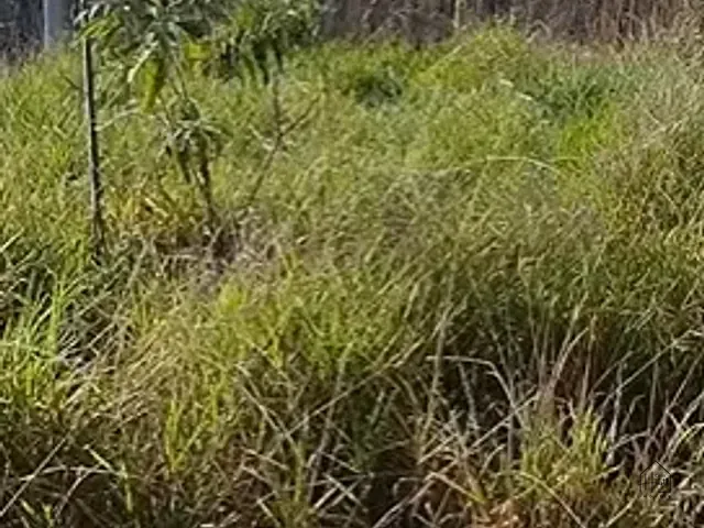Terreno com 132m², à venda, no bairro Santana em Cotia