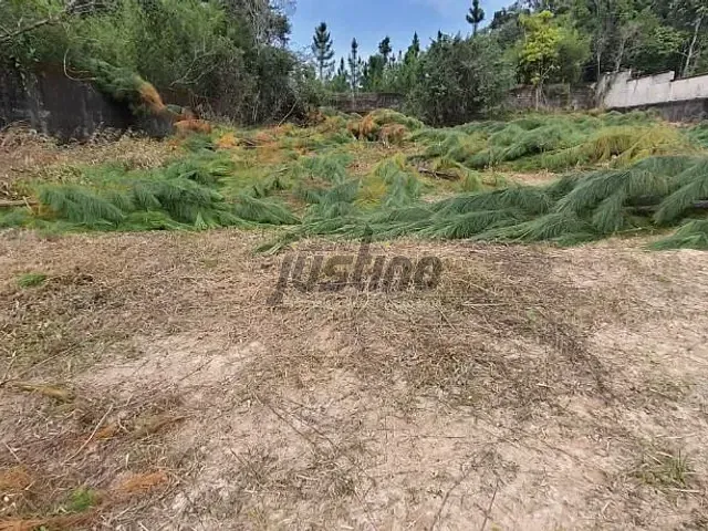 Terreno com 1500m², à venda, no bairro Parque Riomar em Itanhaém