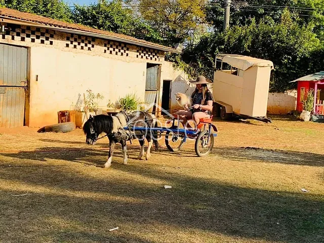 Terreno com 823m², à venda, no bairro Jardim Dona Regina em Santa Bárbara D'Oeste
