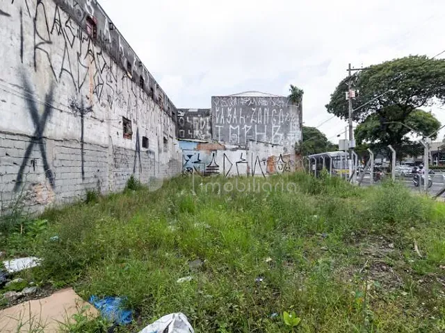 Terreno com 360m², para alugar, no bairro Brás em São Paulo
