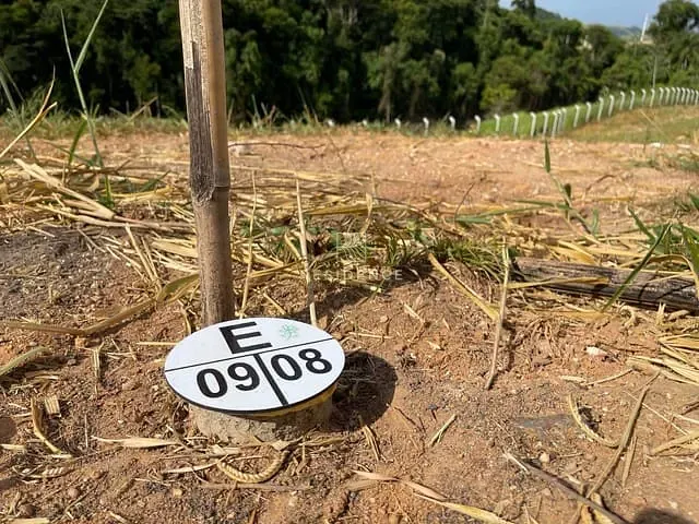 Terreno com 240m², à venda, no bairro Casa de Pedra em Volta Redonda