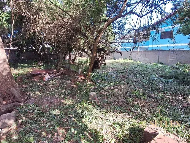 Terreno com 973m², à venda, no bairro Ipanema em Porto Alegre