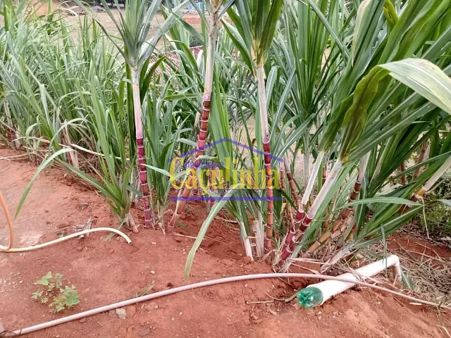 Terreno com 200m², à venda, no bairro Centro em Valença