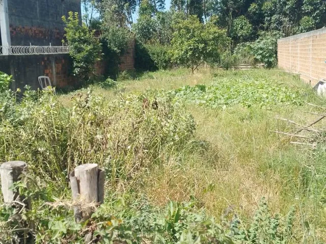 Terreno com 300m², à venda, no bairro Três Vendas em Pelotas
