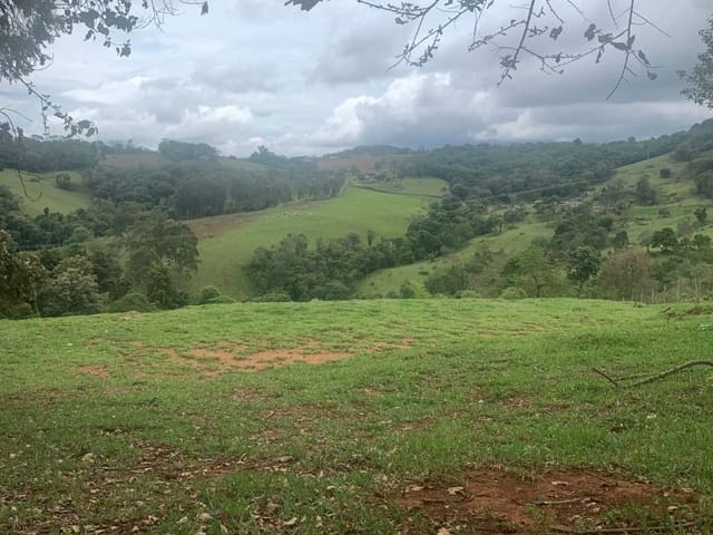 Terreno com 6500m², à venda, no bairro Toledo em Toledo