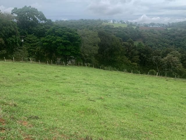 Terreno com 6500m², à venda, no bairro Toledo em Toledo