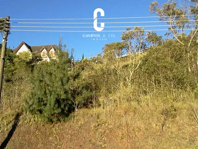 Terreno com 2876m², à venda, no bairro Portal do Capivari em Campos Do Jordão