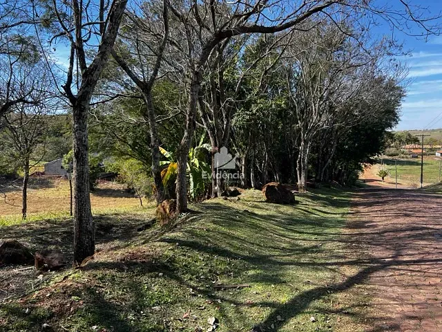 Terreno com 5000m², à venda, no bairro Limoeiro em Londrina