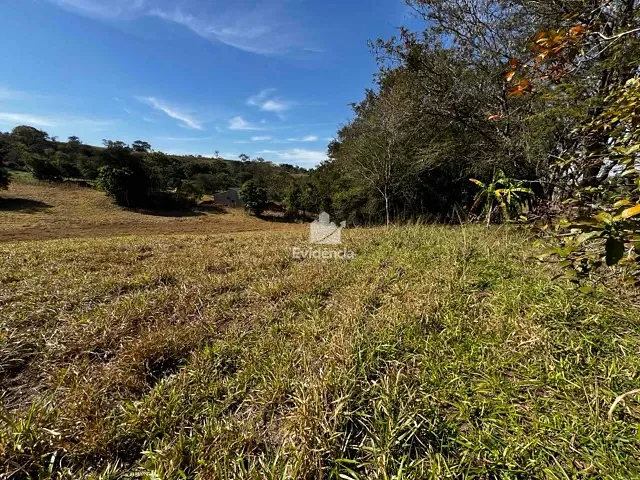 Terreno com 5000m², à venda, no bairro Limoeiro em Londrina