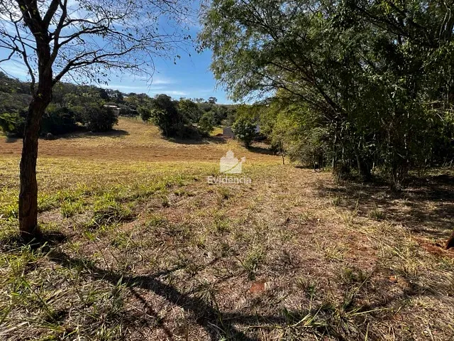 Terreno com 5000m², à venda, no bairro Limoeiro em Londrina