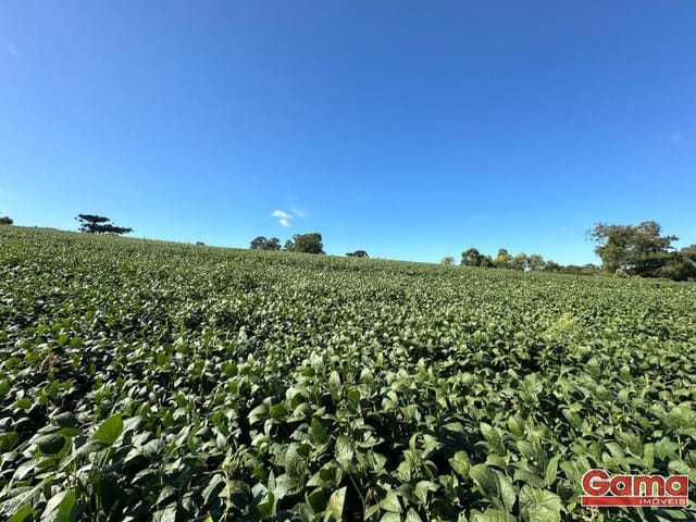 Terreno com 600m², à venda, no bairro Aimoré em Vila Flores