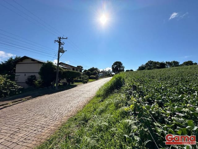 Terreno com 600m², à venda, no bairro Aimoré em Vila Flores