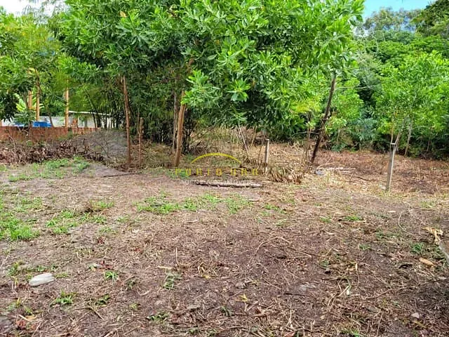 Terreno com 2000m², à venda, no bairro Arembepe (Abrantes) em Camaçari