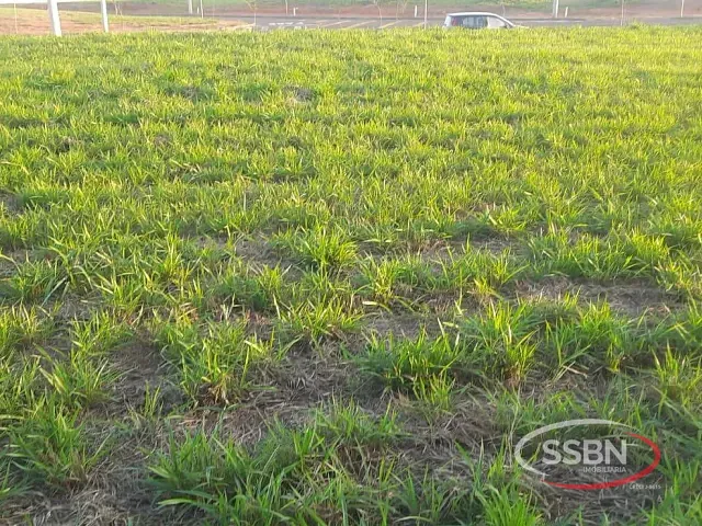 Terreno com 363m², à venda, no bairro Jardim Florença em Nova Odessa