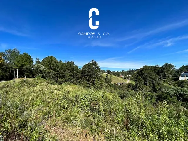 Terreno com 1600m², à venda, no bairro Jardim Miraflores em Campos Do Jordão