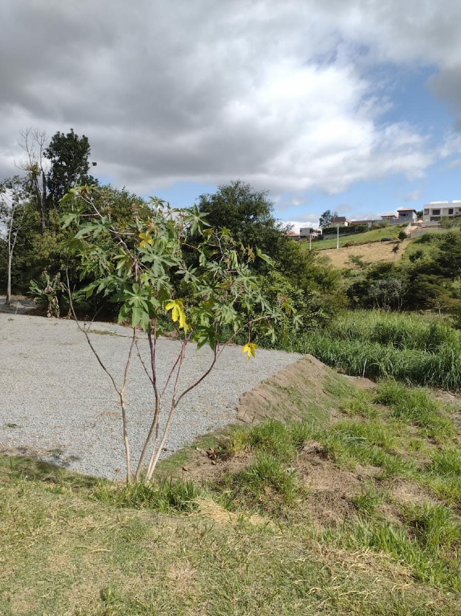 Terreno 1.290 m²  à venda Parque Agrinco, Guararema - SP