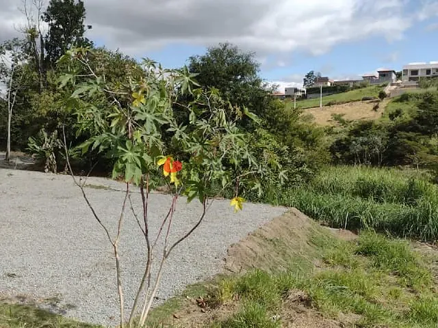 Terreno com 1290m², à venda, no bairro Parque Agrinco em Guararema