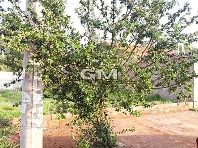 Terreno com 160m², à venda, no bairro Jardim Ângelo Jurca em Ribeirão Preto