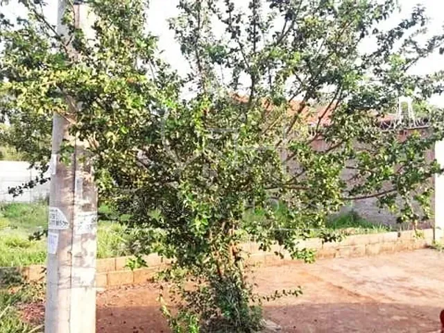 Terreno com 160m², à venda, no bairro Jardim Ângelo Jurca em Ribeirão Preto