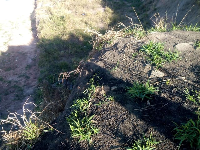 Terreno com 570m², à venda, no bairro Cidade Satélite Íris em Campinas