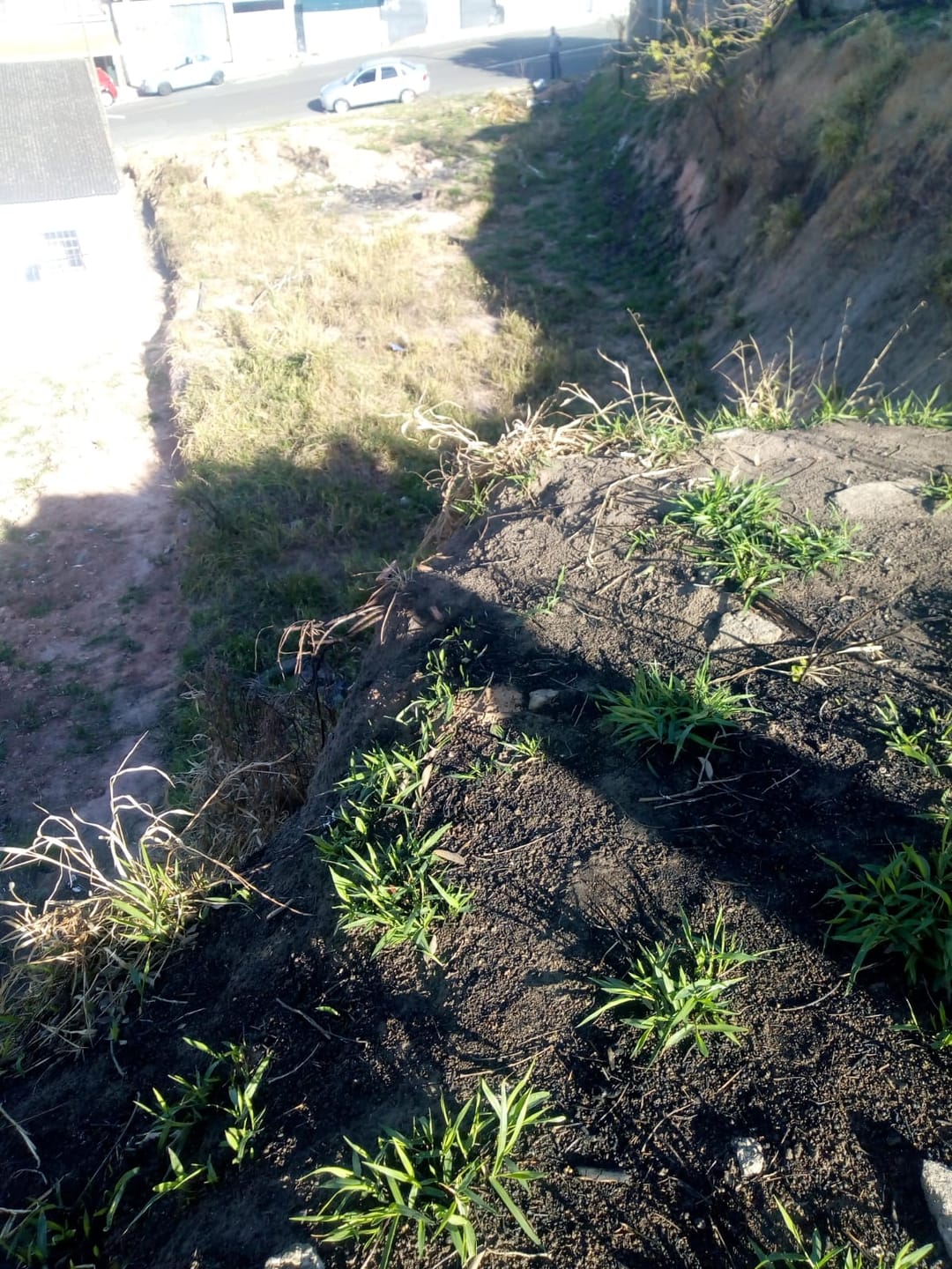 Terreno, 570 m² - Foto 3