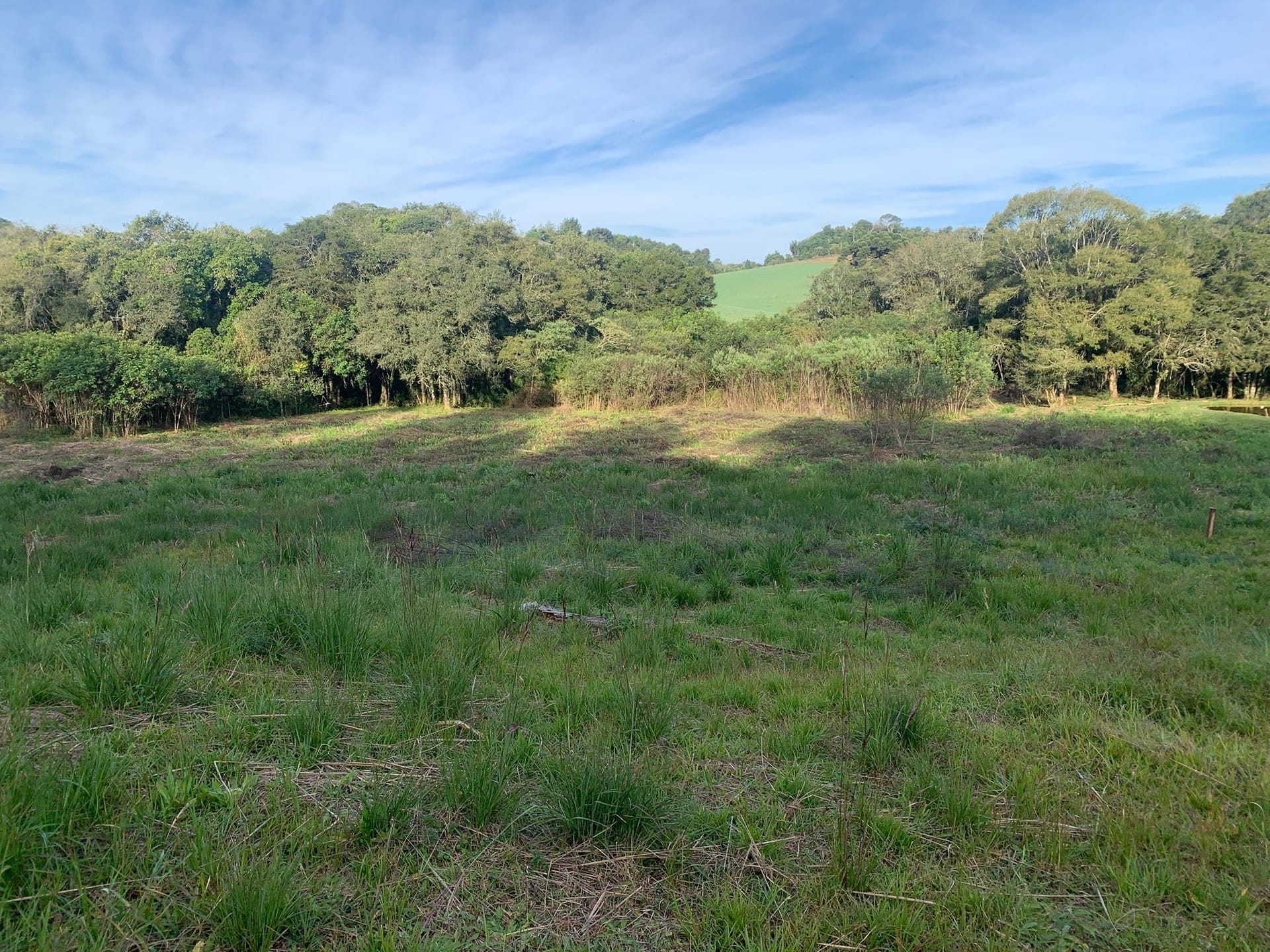 Terreno à venda, 1500m² - Foto 1