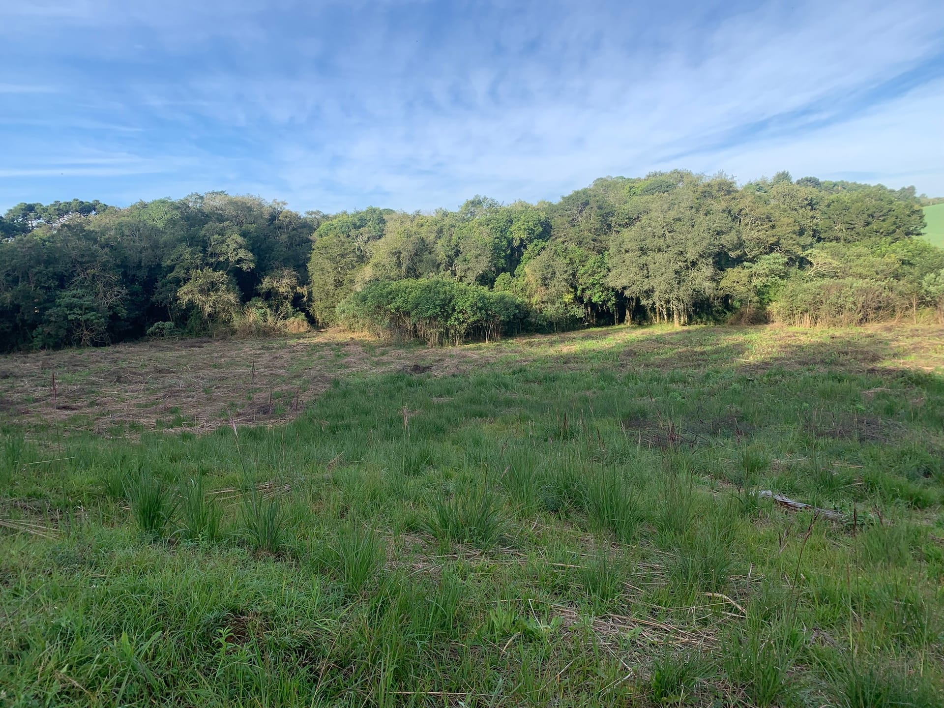 Terreno à venda, 1500m² - Foto 2