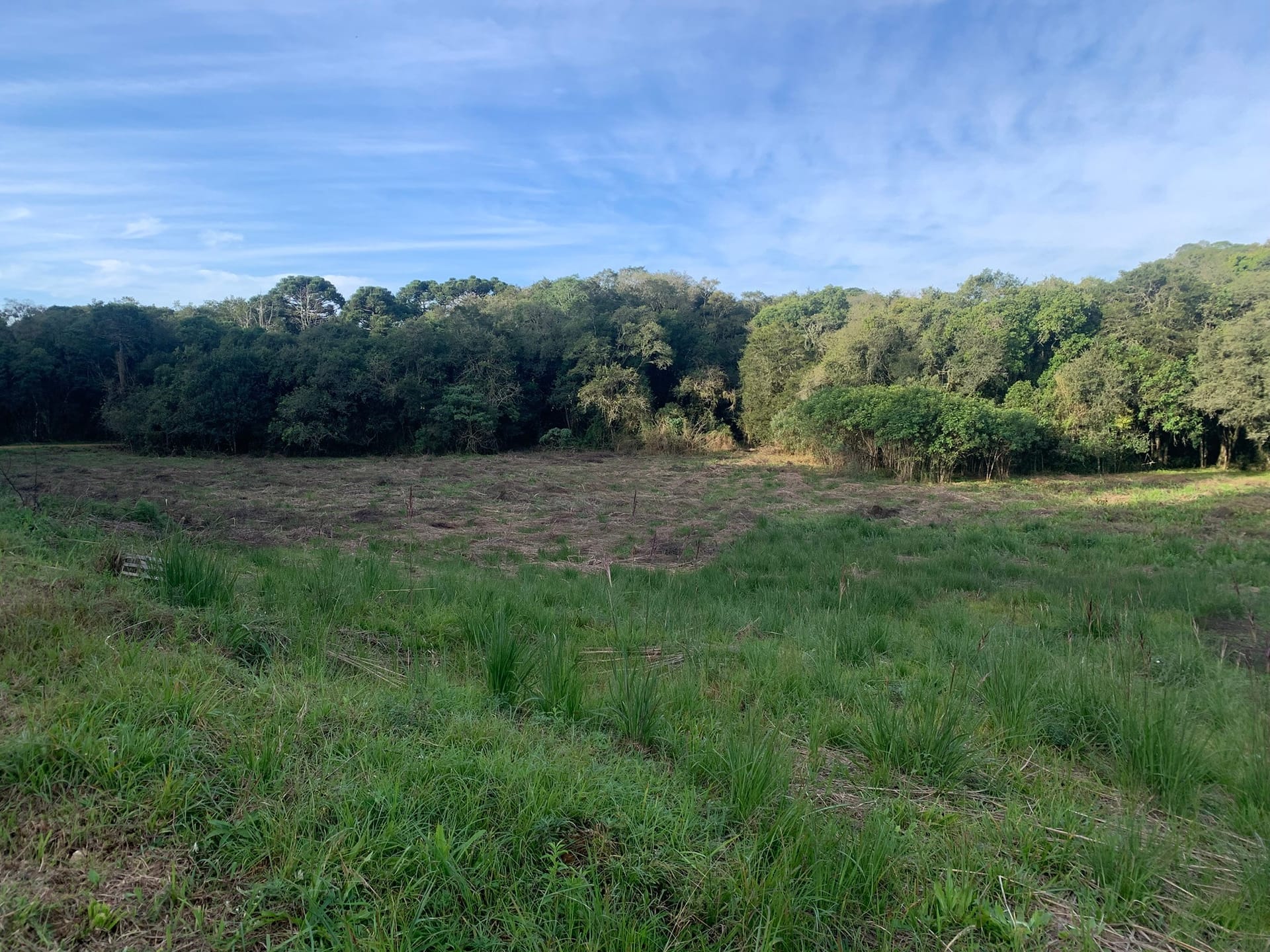 Terreno à venda, 1500m² - Foto 3