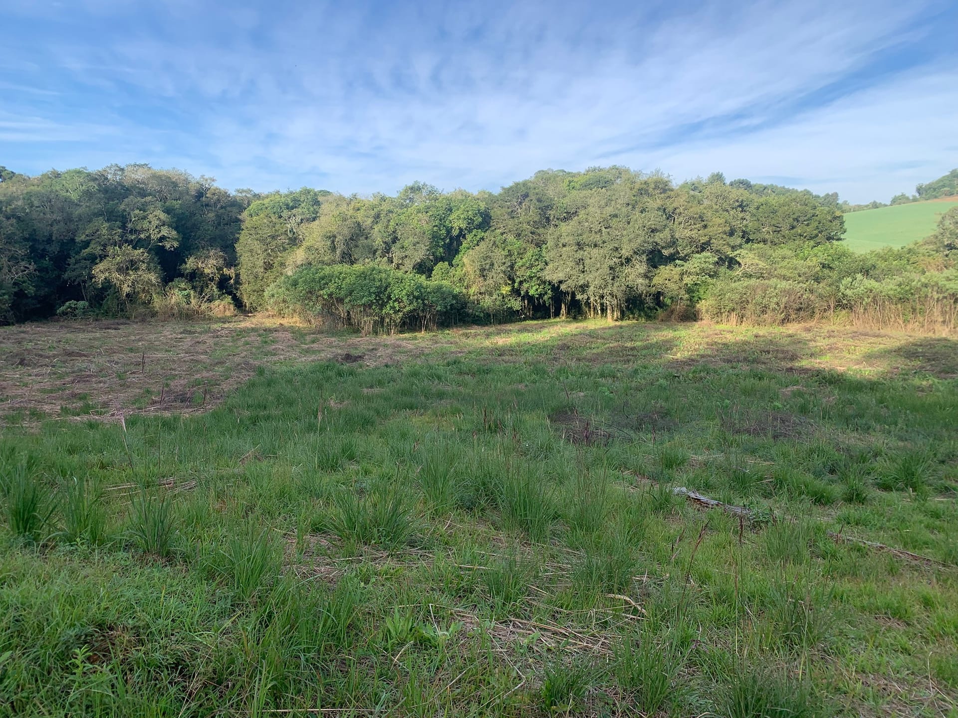 Terreno à venda, 1500m² - Foto 4