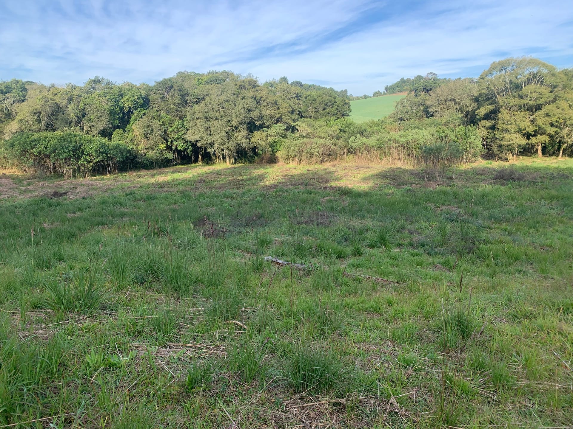 Terreno à venda, 1500m² - Foto 5