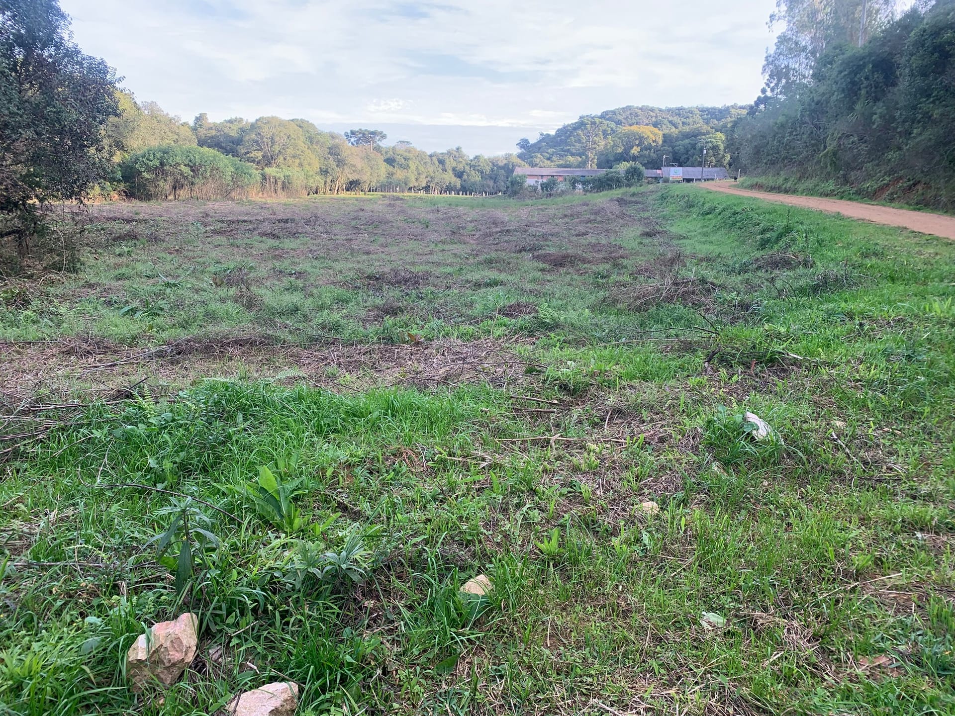 Terreno à venda, 1500m² - Foto 6