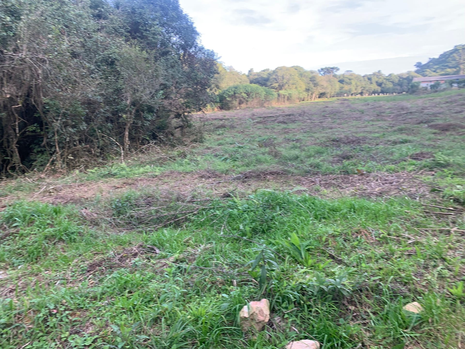Terreno à venda, 1500m² - Foto 7