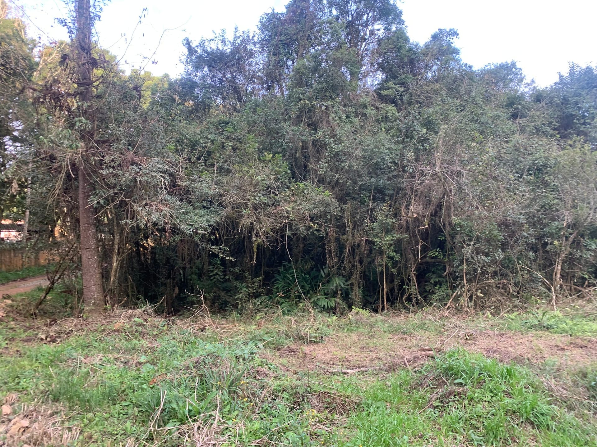 Terreno à venda, 1500m² - Foto 8