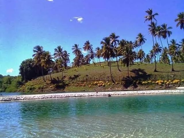 Foto do Terreno - Terreno à venda, Cururupe, Ilhéus, BA | MY House