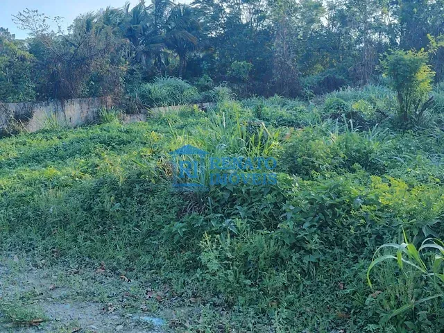 Terreno com 1000m², à venda, no bairro Vale da Figueira (Ponta Negra) em Maricá