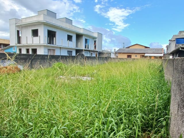 Foto do Terreno - Terreno plano e murado de 360m² (12X30) com zoneamento ARM-3.5 no Alto Ribeirão - Ribeirão da Ilha, Florianópolis/SC | Costão Sul Imóveis