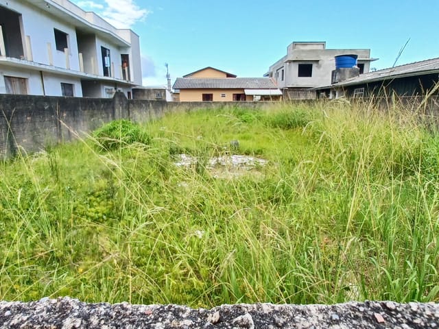 Foto do Terreno - Terreno plano e murado de 360m² (12X30) com zoneamento ARM-3.5 no Alto Ribeirão - Ribeirão da Ilha, Florianópolis/SC | Costão Sul Imóveis