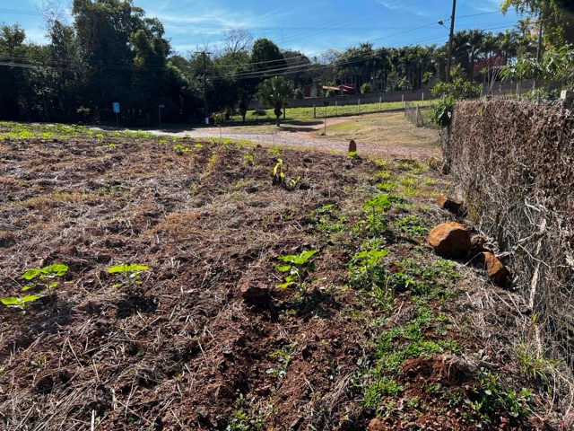 Terreno com 5000m², à venda, no bairro Limoeiro em Londrina