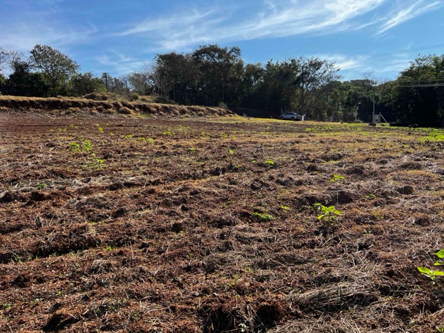 Terreno com 5000m², à venda, no bairro Limoeiro em Londrina