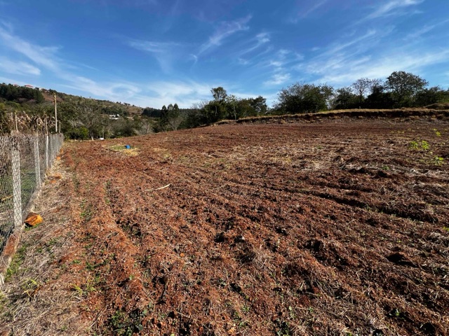 Terreno com 5000m², à venda, no bairro Limoeiro em Londrina