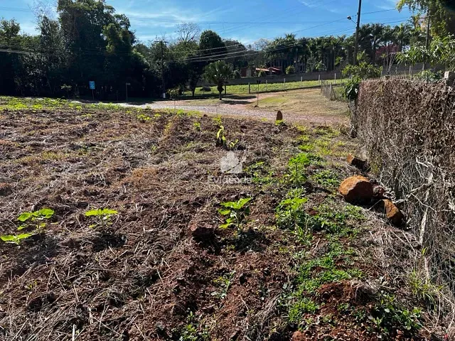 Terreno com 5000m², à venda, no bairro Limoeiro em Londrina