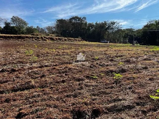 Terreno com 5000m², à venda, no bairro Limoeiro em Londrina