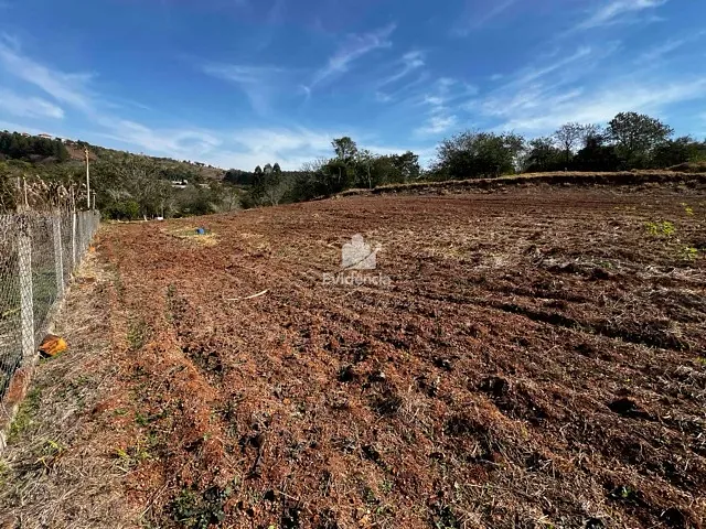 Terreno com 5000m², à venda, no bairro Limoeiro em Londrina