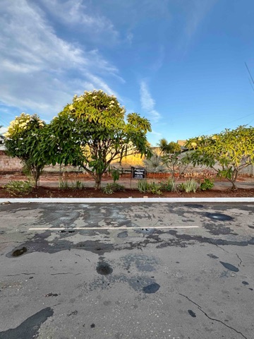 Terreno com 1000m², à venda, no bairro Centro em Nova Mutum