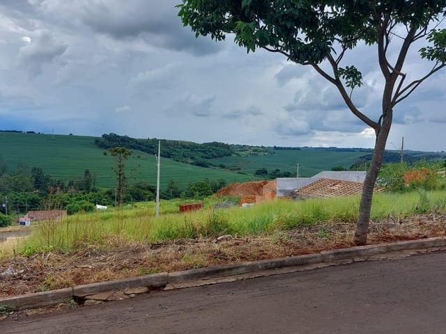 Foto do Terreno - Terreno à venda, Resiencial Agostinho Pizzaia, Rolândia, PR | Imobiliária Casa Grande - Rolândia