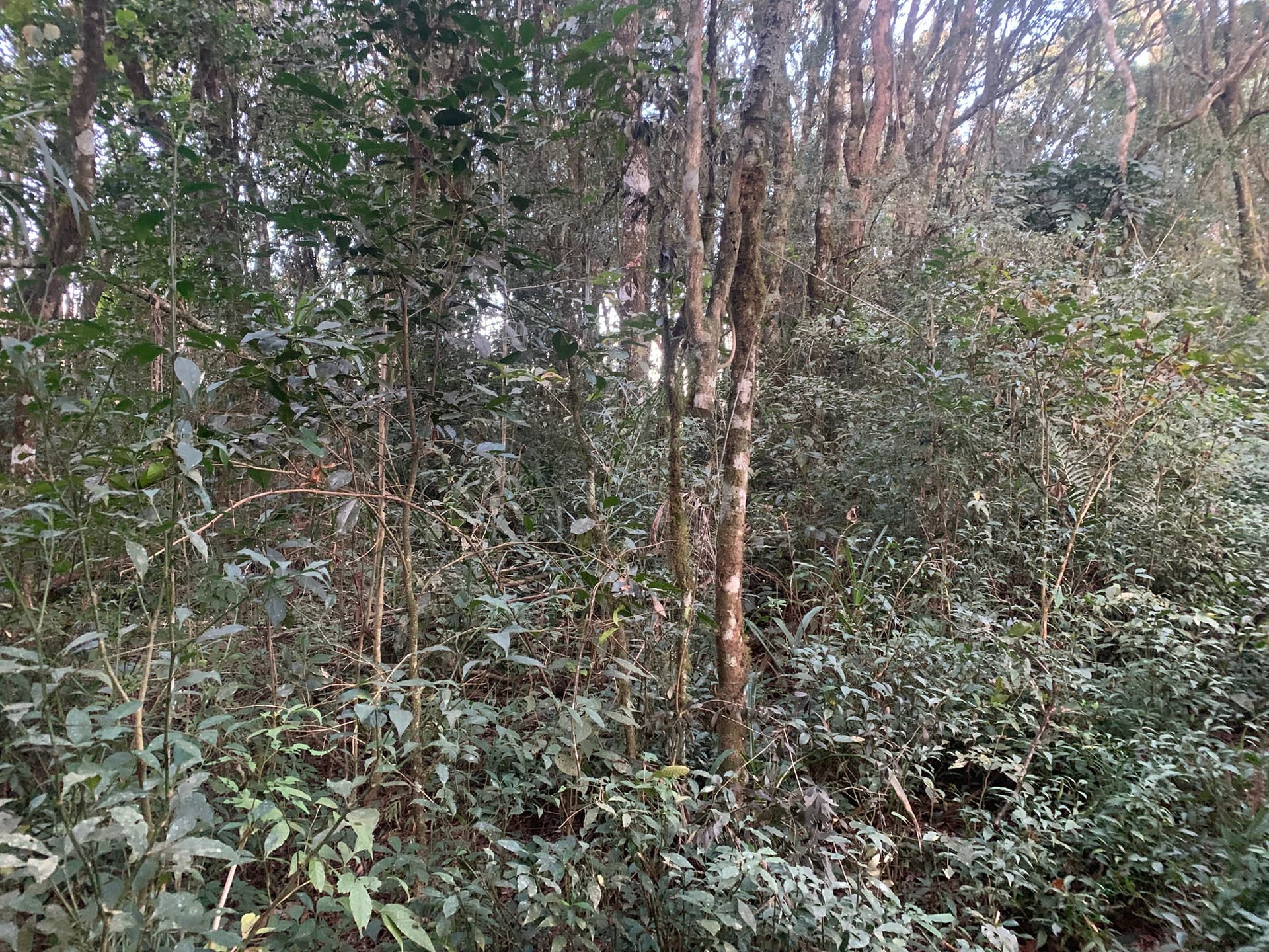 Terreno à venda, 4800m² - Foto 5