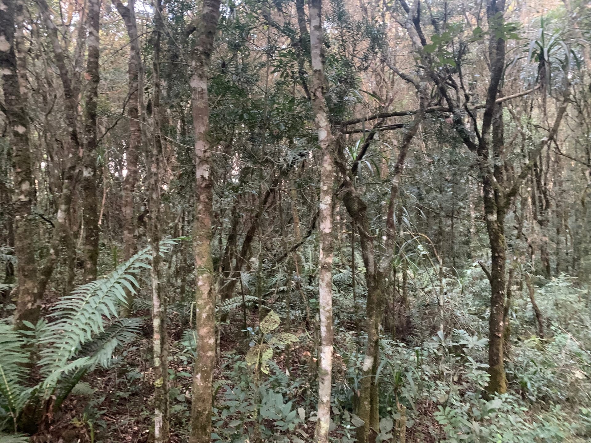 Terreno à venda, 4800m² - Foto 11