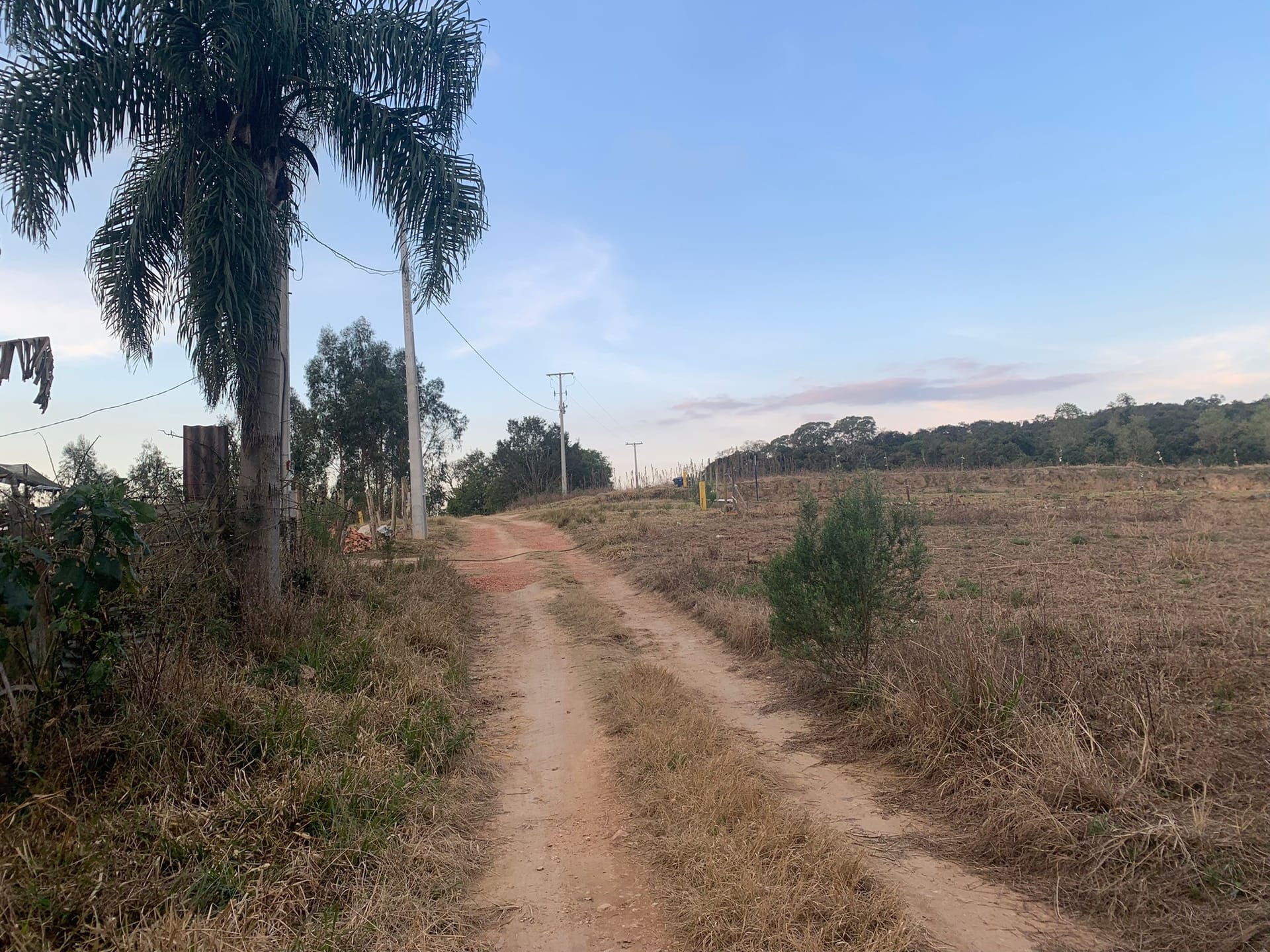 Terreno à venda, 4800m² - Foto 1
