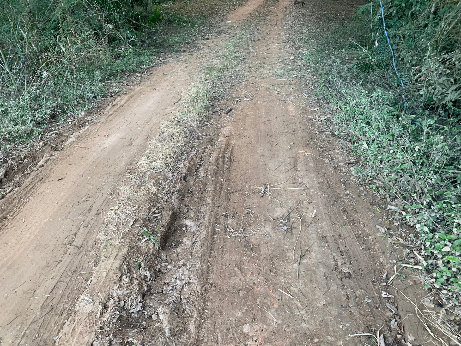 Terreno à venda, 4800m² - Foto 4