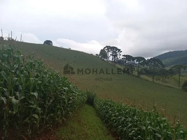 Terreno com 38700m², à venda, no bairro Mata do Isidoro em Maria da Fé